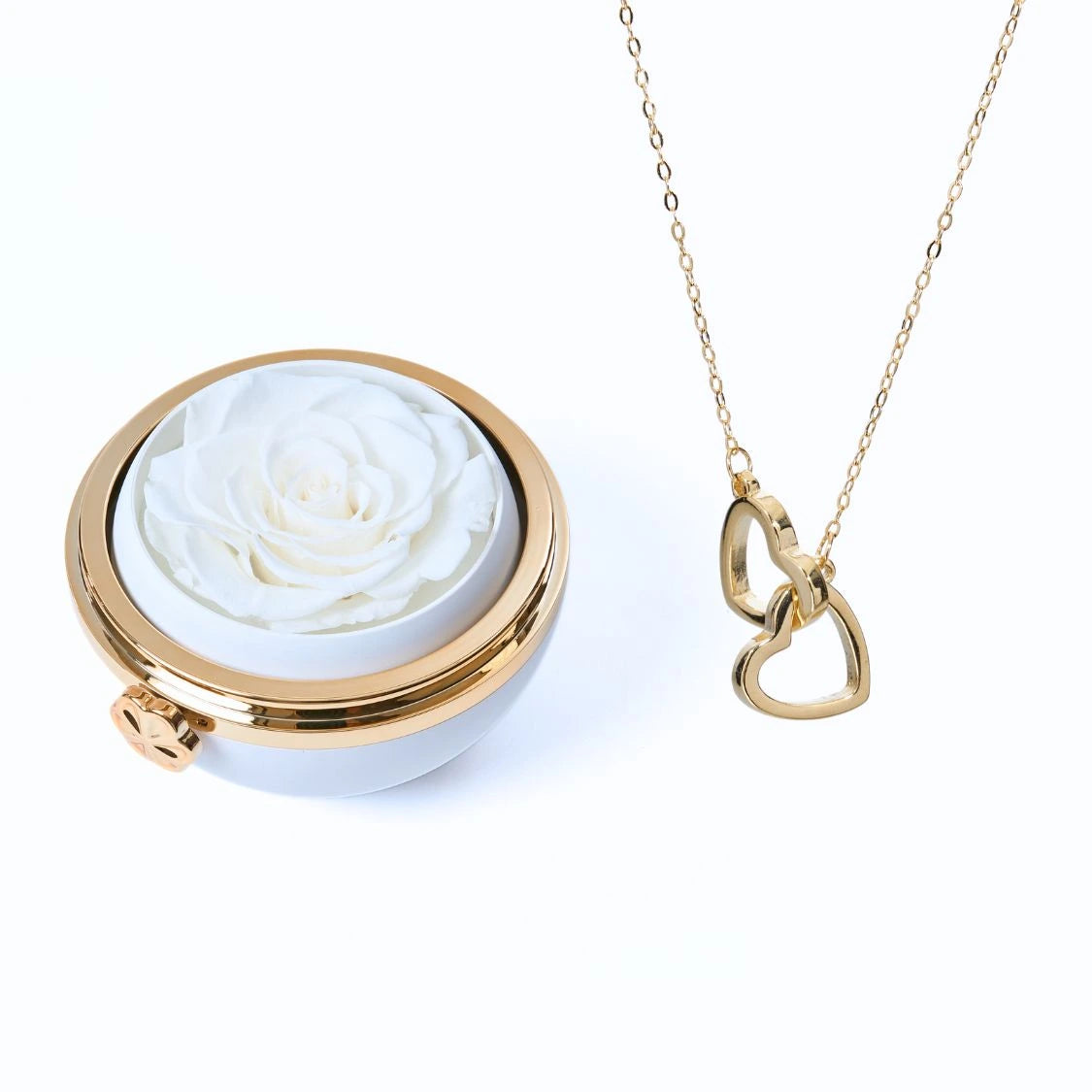 Necklace & Rose Gift